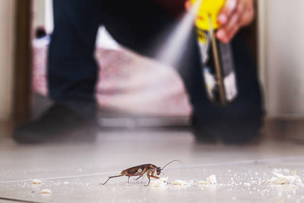 Best Commercial Pest Control Services  in Preston, IA